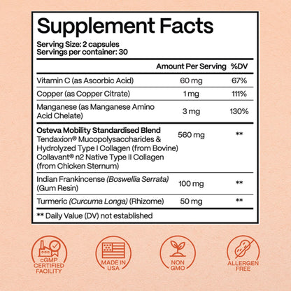 Rejuveen Osteva Joint Support Supplement for Women | High Potency Collagen, Turmeric, Boswellia | for Flexible Cartilage & Tendons, - dailyvitalstore