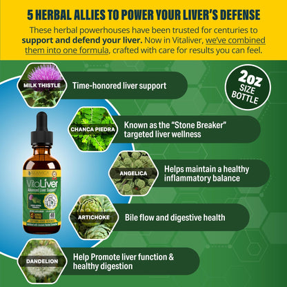 Rejuvica Health VitaLiver | Liver Cleanse & Detox Drops | Milk Thistle, Artichoke, Chanca Piedra & Dandelion Extract | Fatty Liver Support Repair - dailyvitalstore