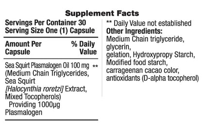 REMORY Plasmalogen Sea Squirt Supplement - Brain Health Supplement - 30 Days Supply - dailyvitalstore