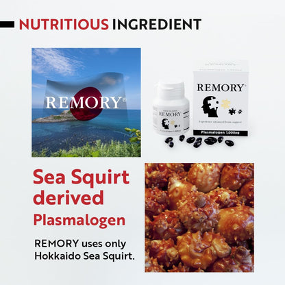REMORY Plasmalogen Sea Squirt Supplement - Brain Health Supplement - 30 Days Supply - dailyvitalstore