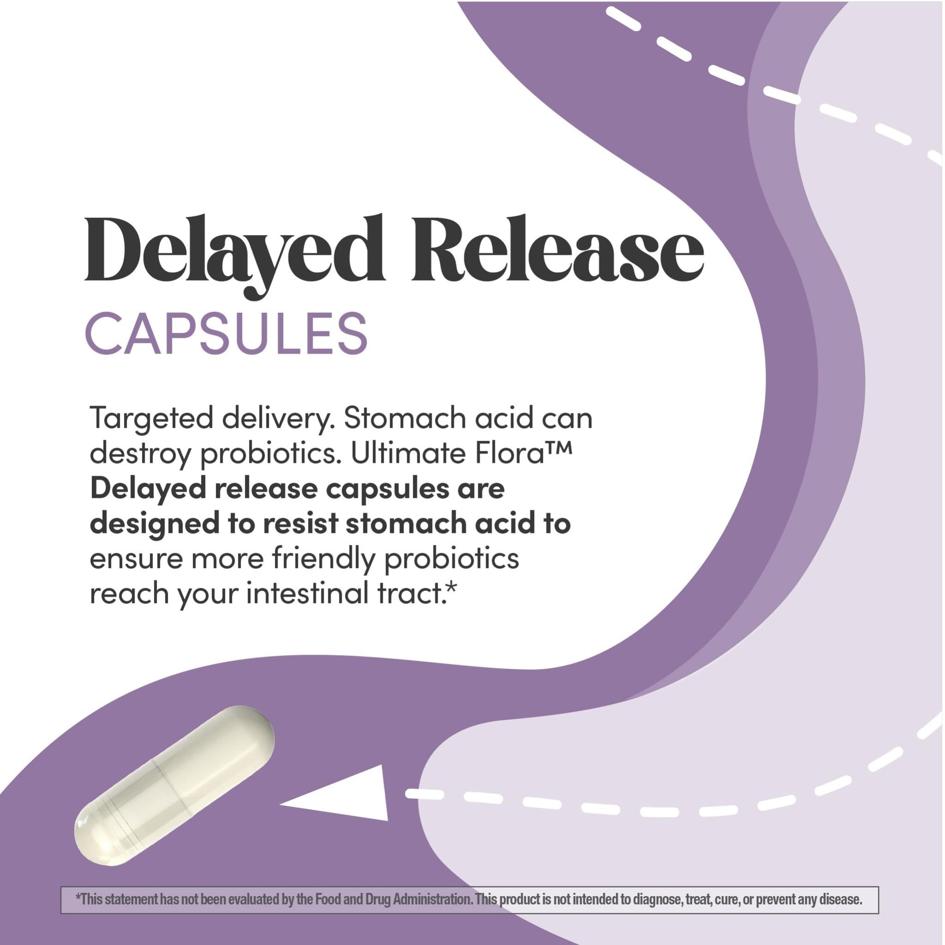 Renew Life Ultimate Flora Probiotics for Women | 50 Billion CFU | 30 Delayed Release Vegan Capsules | Digestive & Vaginal Health | Dairy, Soy and Gluten Free Supplement - dailyvitalstore