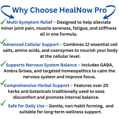 RENEW MIND HealNow Pro Homeopathic Support for Joint Pain, Muscle Aches, Arthritis Pain, and Muscle or Joint Stiffness Professional Grade Formula Promotes Comfort, Mobility & Energy - 2 fl oz - dailyvitalstore