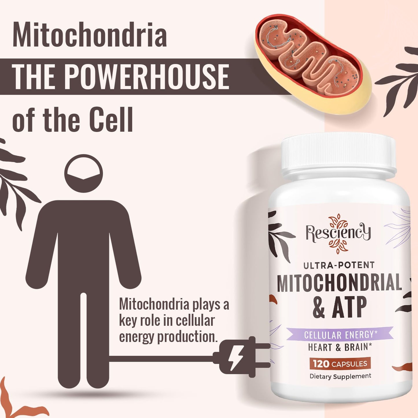 Resciency 2326 MG Mitochondrial Supplements with ATP, Vitamins, CoQ10 & PQQ, More Effective Than Creatine HMB & Nitric Oxide, Energy, Endurance, Strength, Recovery & Muscle, Organic, 120 Capsules - dailyvitalstore