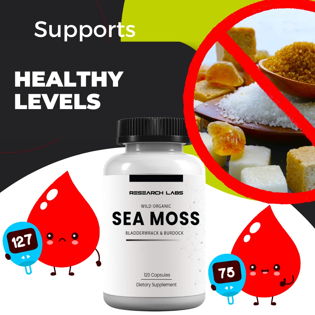 Research Labs 2 Fer 1 Ad Organic Irish Sea Moss Capsules 240 Total Pills, Raw Wildcrafted Seamoss Enhanced w/Bladderwrack & Burdock Root Antioxidant Powerhouse. Thyroid Support - dailyvitalstore