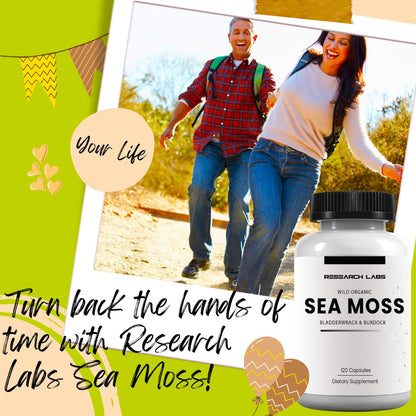 Research Labs 2 Fer 1 Ad Organic Irish Sea Moss Capsules 240 Total Pills, Raw Wildcrafted Seamoss Enhanced w/Bladderwrack & Burdock Root Antioxidant Powerhouse. Thyroid Support - dailyvitalstore