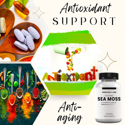 Research Labs 2 Fer 1 Ad Organic Irish Sea Moss Capsules 240 Total Pills, Raw Wildcrafted Seamoss Enhanced w/Bladderwrack & Burdock Root Antioxidant Powerhouse. Thyroid Support - dailyvitalstore
