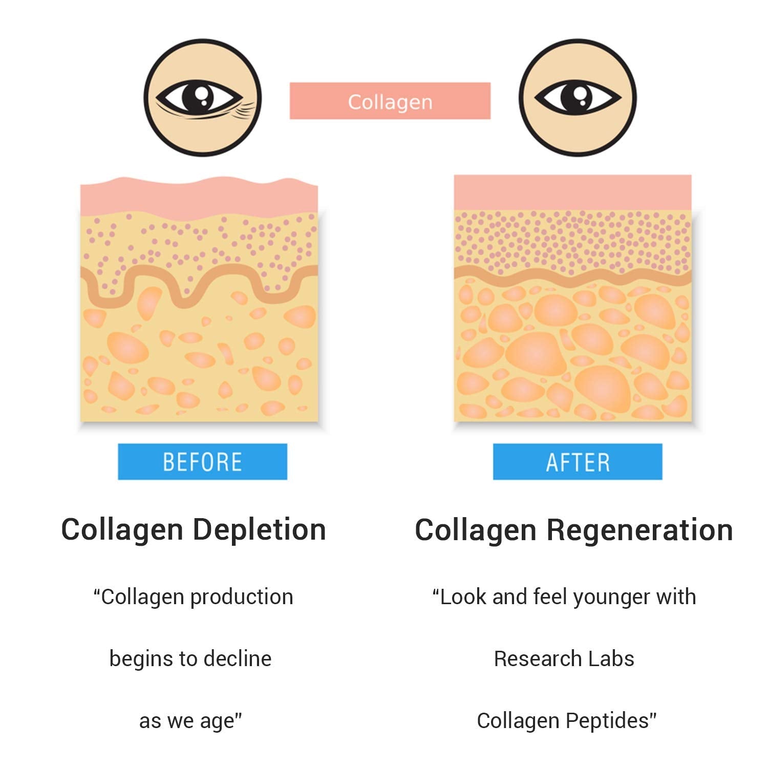 Research Labs 2 for 1 Promo 240 Collagen Pills - 6000 mg Per Day. Grass Fed Anti-Aging Support for Skin, Joints, Tendons, Bones, Hair and Nails. - dailyvitalstore
