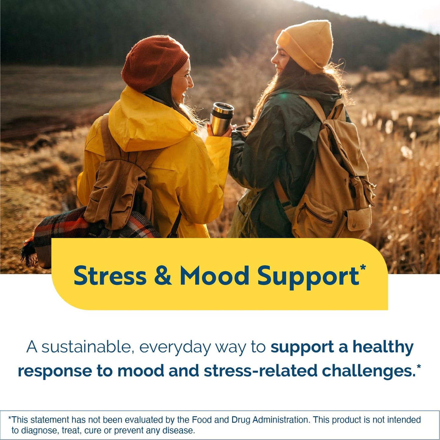 Researched Nutritionals AnxiaEase - Stress, Cortisol Management & Mood Support Supplement - Botanicals, Vitamin B6, Magnesium & 'Psychobiotic' Probiotic Strains (120 Capsules) - dailyvitalstore