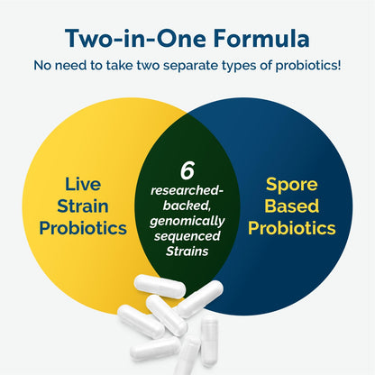 Researched Nutritionals Multi-Biome - Dual-Action Probiotics for Women & Men - Spore + Live Strain Formula with Delayed-Release Capsules for Gut Health, Histamine & Immune Support (30 ct) - dailyvitalstore
