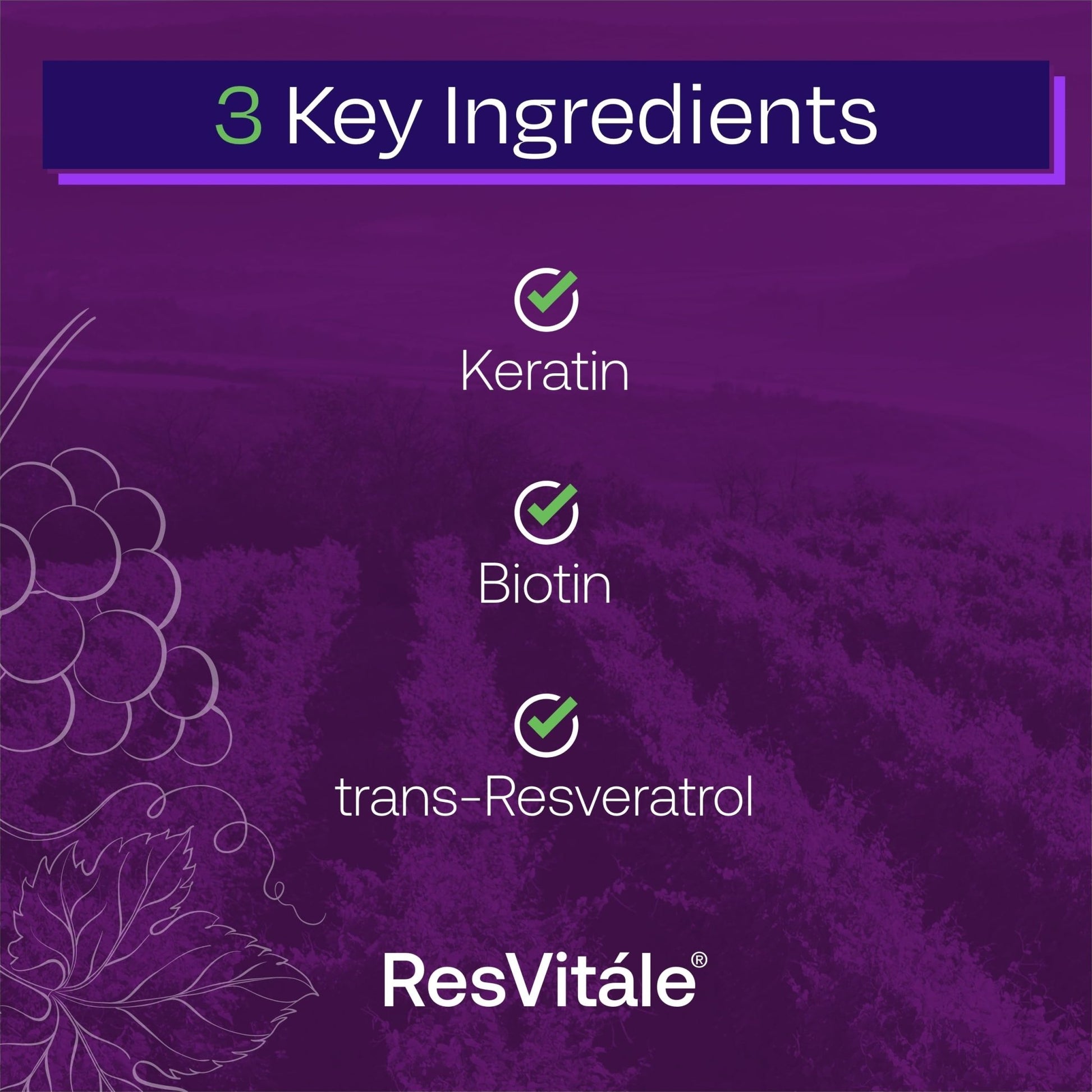 ResVitále Keratin Hair Enhance - Keratin Supplement for Hair Growth - 60 Capsules - dailyvitalstore