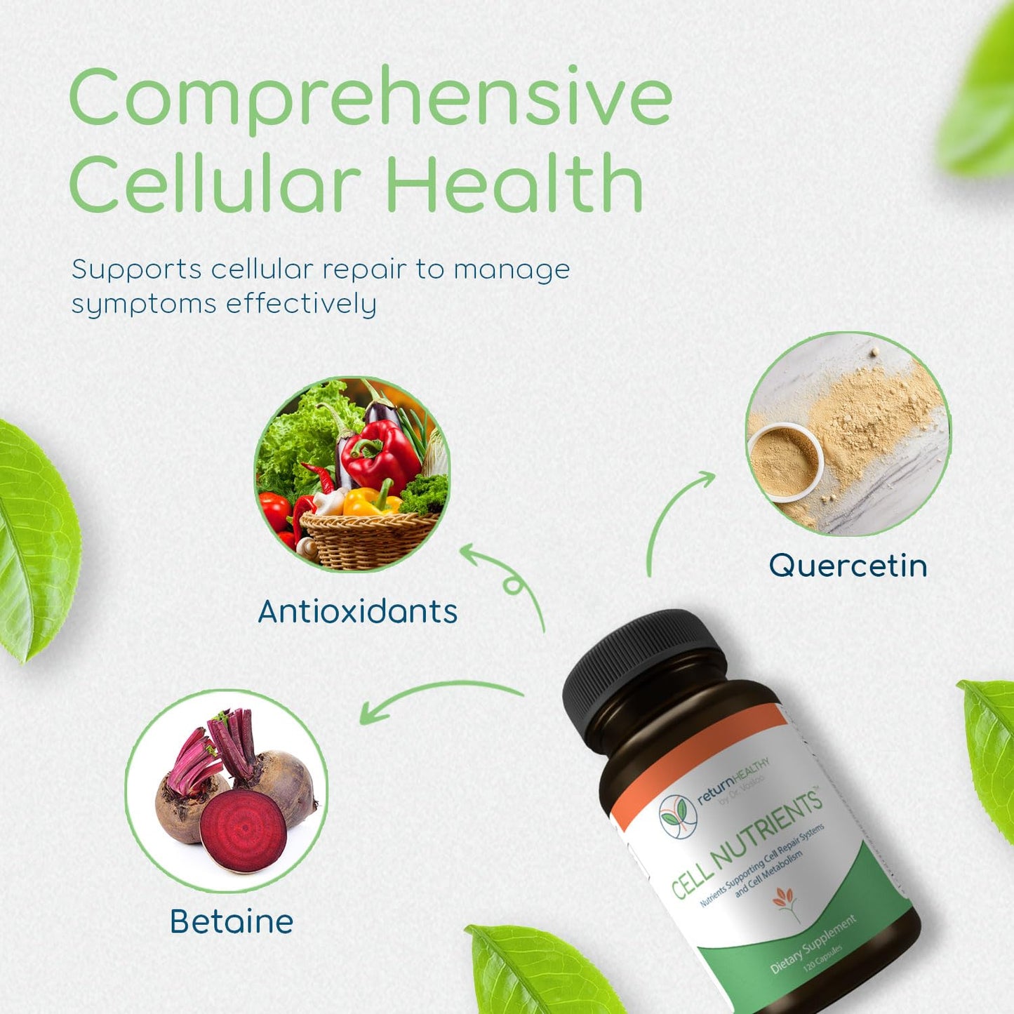 Return Healthy Cell Nutrients | Promotes Cell and Membrane Repair & Cell Metabolism | Helps Fight Tick-Borne Infections & More | Mitochondrial Supplements | Non-GMO, Vegan, 120 caps - dailyvitalstore