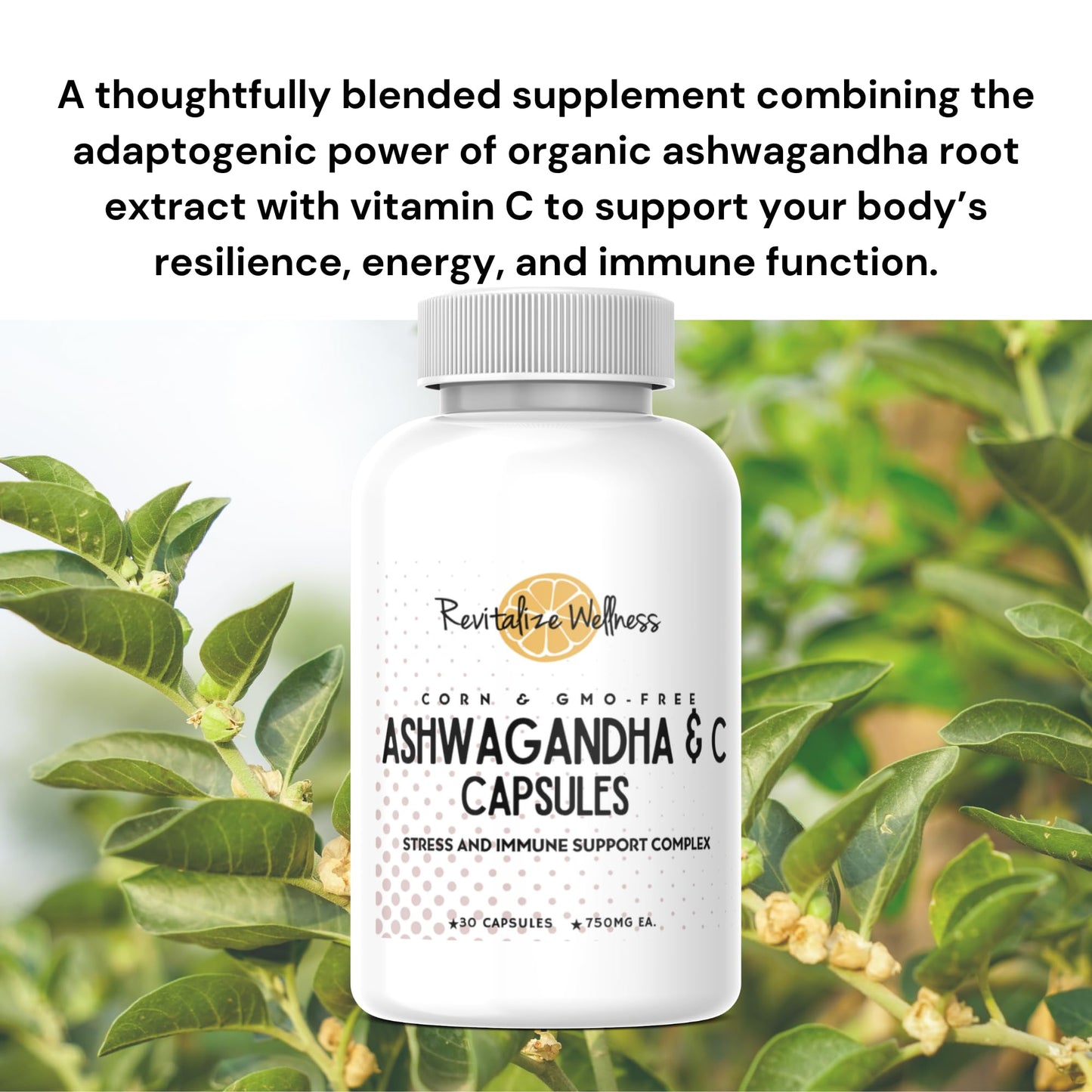Revitalize Wellness Ashwagandha + Vitamin C Capsules | Stress and Immune Support Complex | with 550 mg Ashwagandha and 200 mg Vitamin C per Serving | 30 Servings - dailyvitalstore