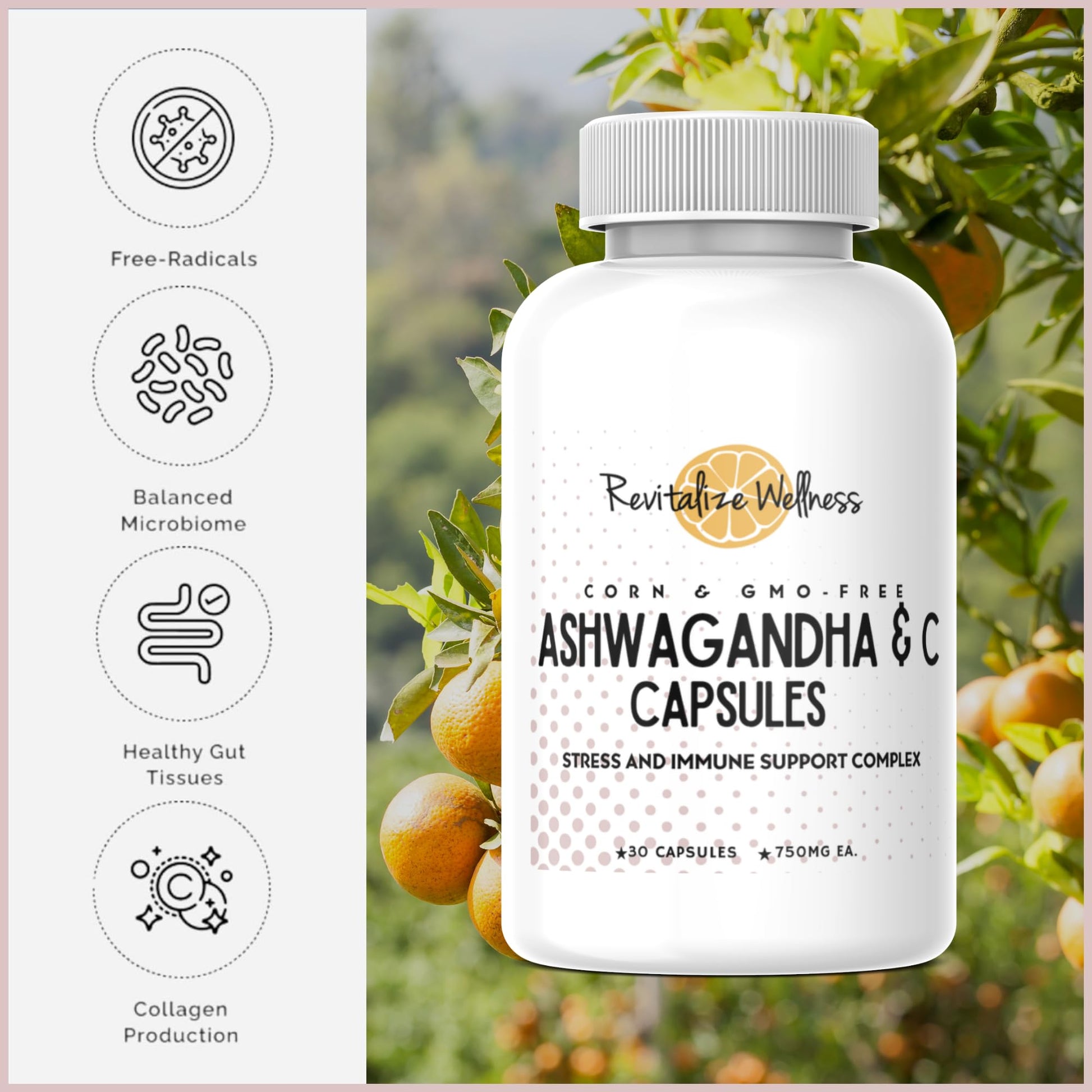 Revitalize Wellness Ashwagandha + Vitamin C Capsules | Stress and Immune Support Complex | with 550 mg Ashwagandha and 200 mg Vitamin C per Serving | 30 Servings - dailyvitalstore