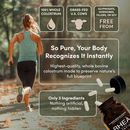 Rhea Bovine Colostrum Supplement for Women, Colostrum Capsules for Gut Health, Digestion, Bloating, Beauty, Immune Support, Bovine Colostrum for Humans, Colostrum Pills (60caps) - dailyvitalstore