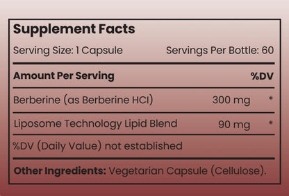 Rho Nutrition Liposomal Berberine Capsules - Ultra High Absorption Supplement – Supports Immune Function, Gut Health and Metabolic - dailyvitalstore