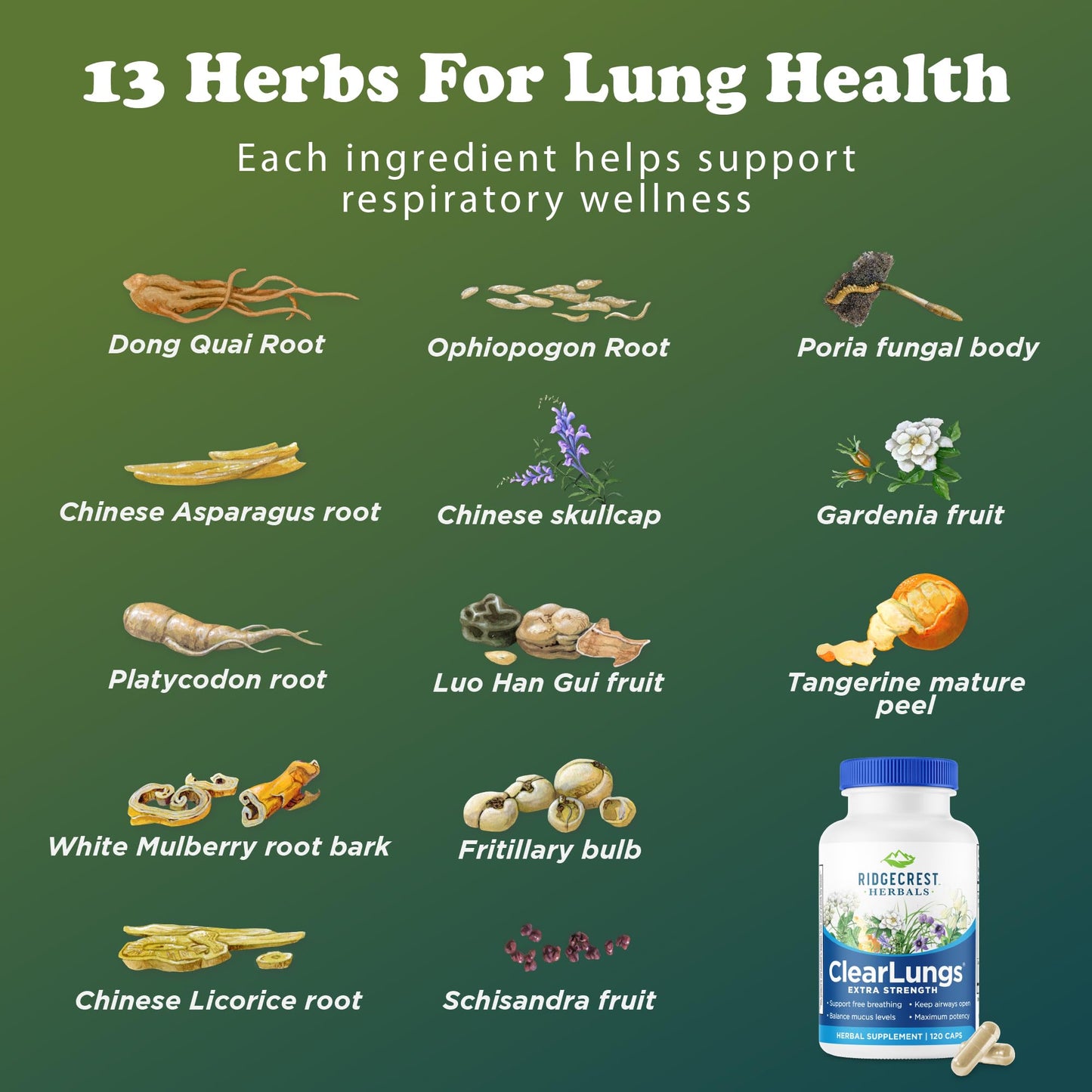 RidgeCrest Herbals ClearLungs Extra Strength, Daily Health Supplement, Natural Lung and Nasal Wellness Formula (120 Vegan Caps, 60 Serv) - dailyvitalstore
