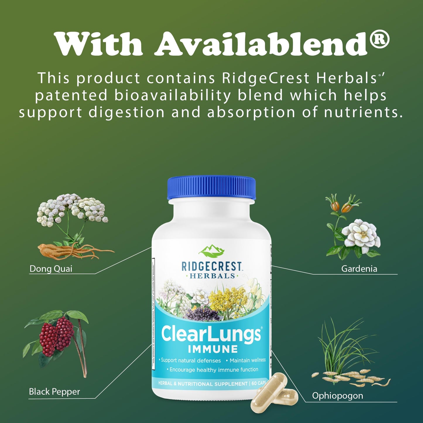 RidgeCrest Herbals ClearLungs Immune, Lung Support Supplement with Elderberry, Zinc, Vitamin C, Vitamin A, Olive Leaf, Mullein, Lung Wellness Formula for Respiratory Health (60 Vegan Caps, 30 Serv) - dailyvitalstore