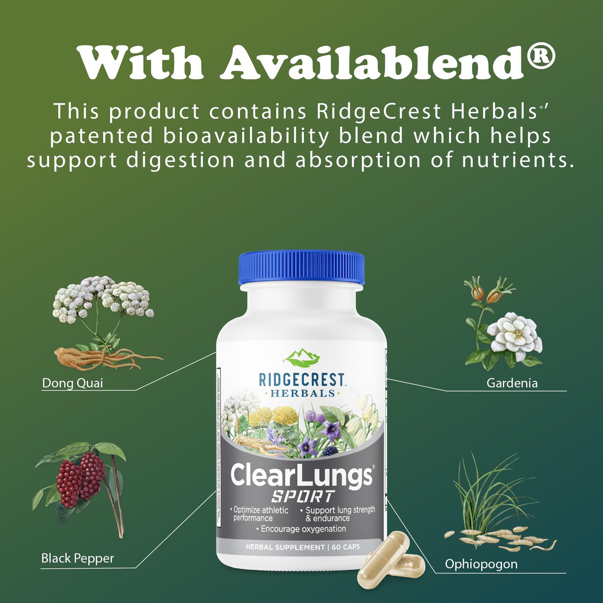 Ridgecrest Herbals ClearLungs Sport, Oxygen Intake and Lung Support Formula with Cordyceps, Rhodiola, Eleuthero (60 Vegan Caps, 30 Serv) - dailyvitalstore