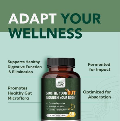 Rigma Herbal BEE Gut Health - Gas and Bloating Relief, Constipation, Leaky Gut Repair - Gut Cleanse & Restore Digestion - dailyvitalstore