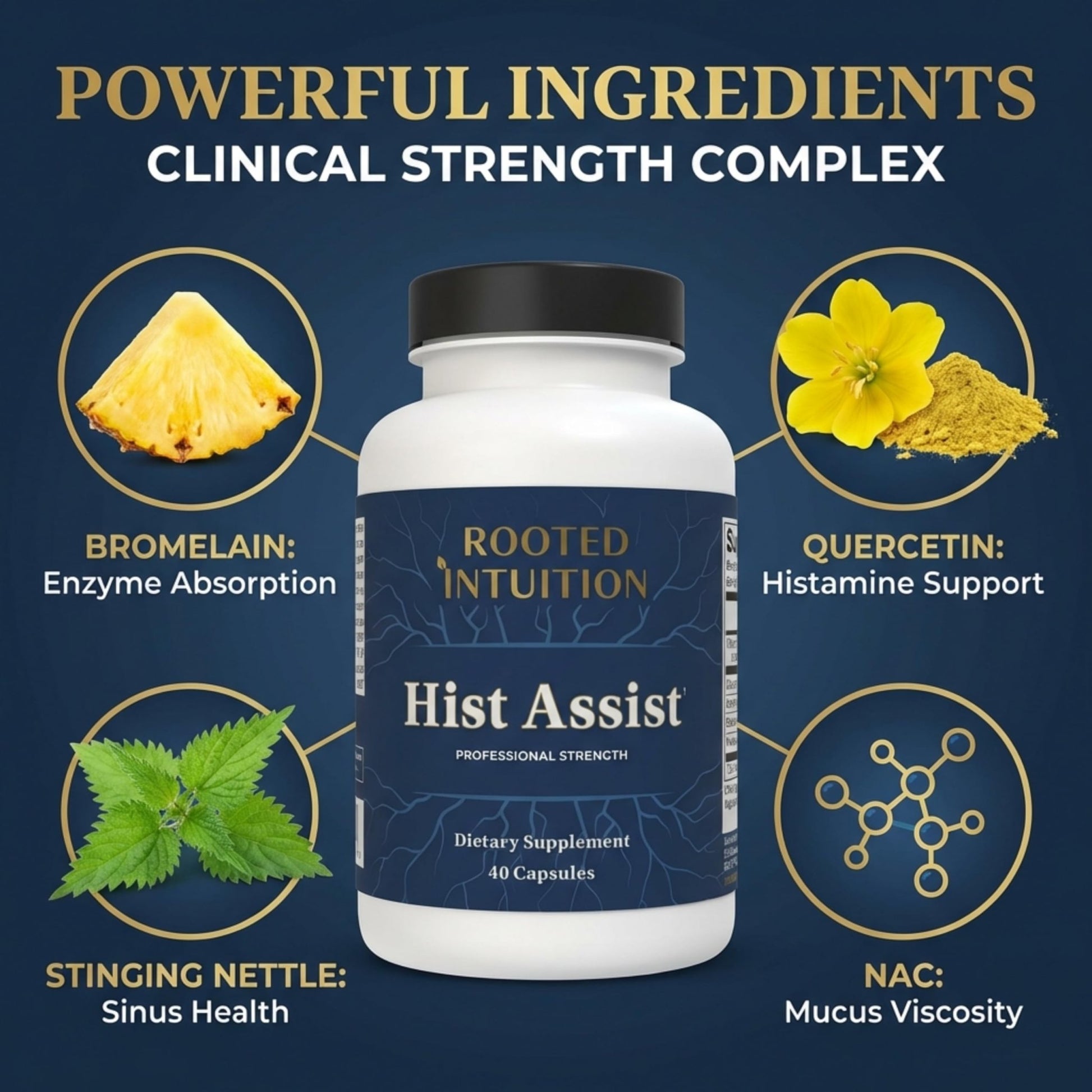 Rooted Intuition Hist Assist | Seasonal Sinus & Immune Balance Formula | Quercetin Bromelain NAC Nettle | Non-GMO Gluten Free | 40 Capsules - dailyvitalstore