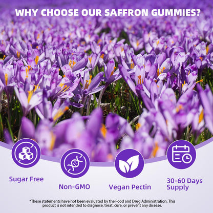 Saffron Supplement Gummies for Kids & Adults Supports Antioxidant Function with Ashwagandha, L-Theanine, Rhodiola Rosea, Lemon Balm, Vitamin D3, B6, Magnesium & Zinc – Raspberry Flavor, 60 Count - dailyvitalstore