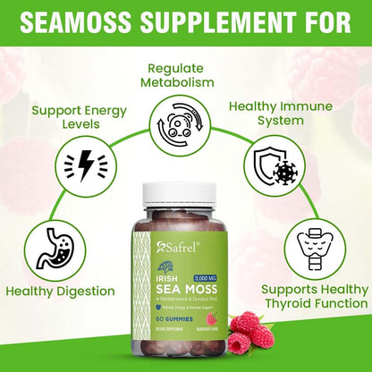 Safrel Irish Sea Moss Gummies 3000mg with Bladderwrack and Burdock Root, Thyroid Energy and Immune Support, Vegan Raspberry Flavor, 60 Gummies - dailyvitalstore