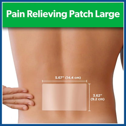 Salonpas Pain Relieving Patch, Large, 6 Count, for Back, Neck, Shoulder, Knee Pain and Muscle Soreness, 8 Hour Pain Relief - dailyvitalstore