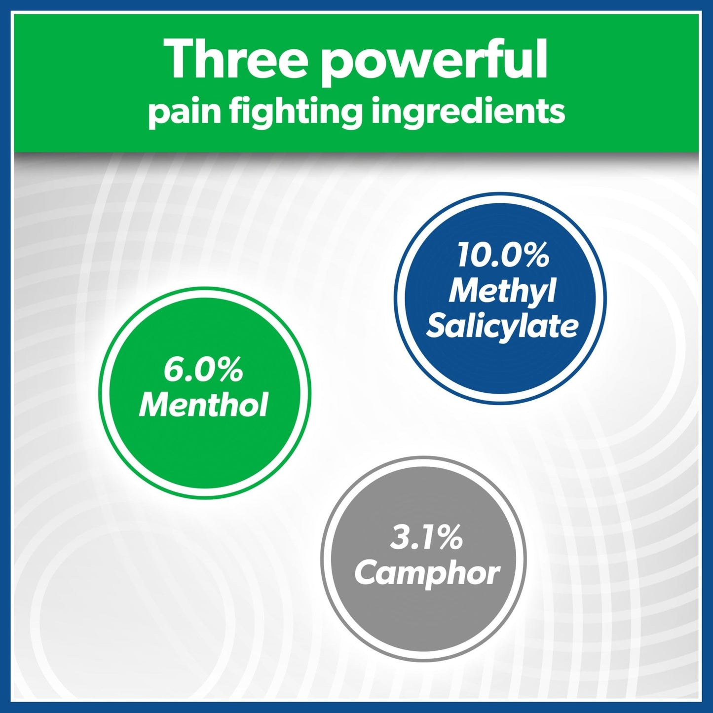 Salonpas Pain Relieving Patch, Large, 6 Count, for Back, Neck, Shoulder, Knee Pain and Muscle Soreness, 8 Hour Pain Relief - dailyvitalstore
