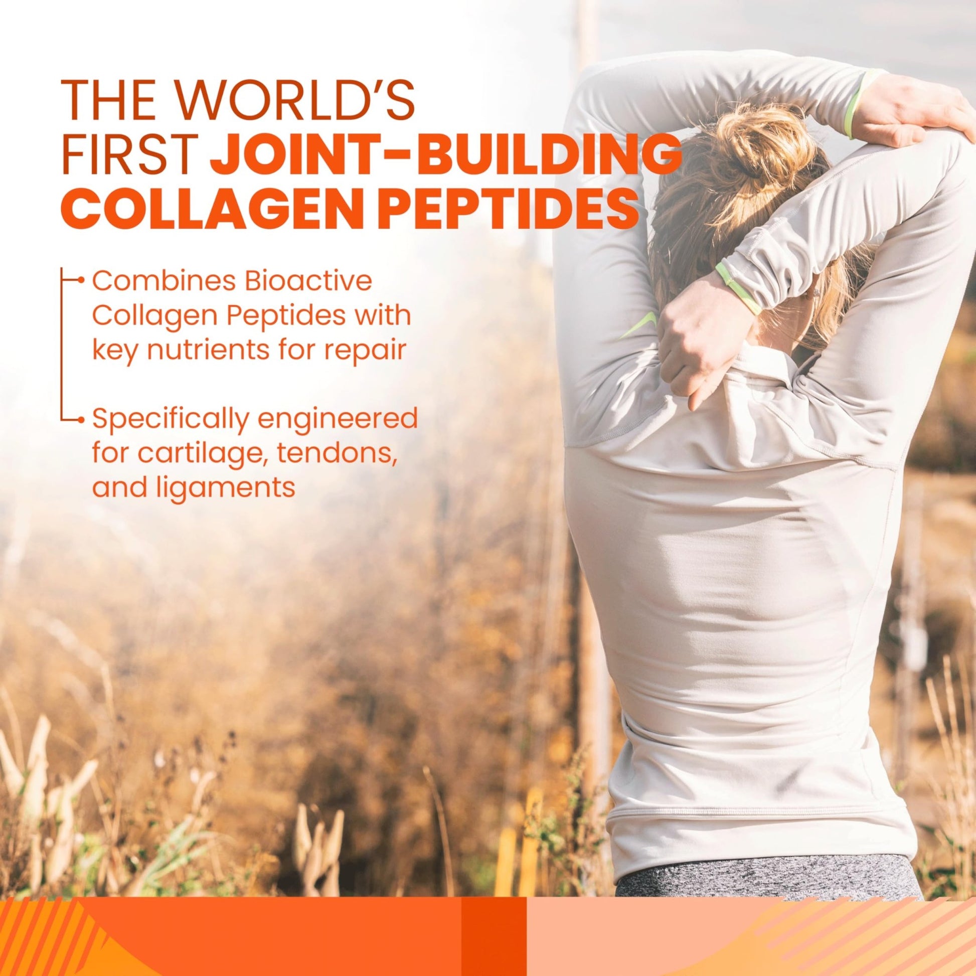 SaltWrap Collagen Synthesis - Collagen Peptides for Joints with Fortigel, Tendoforte, Best Collagen Powder for Tendons, Ligaments, and Cartilage Recovery and Repair, NSF Certified for Sport - dailyvitalstore