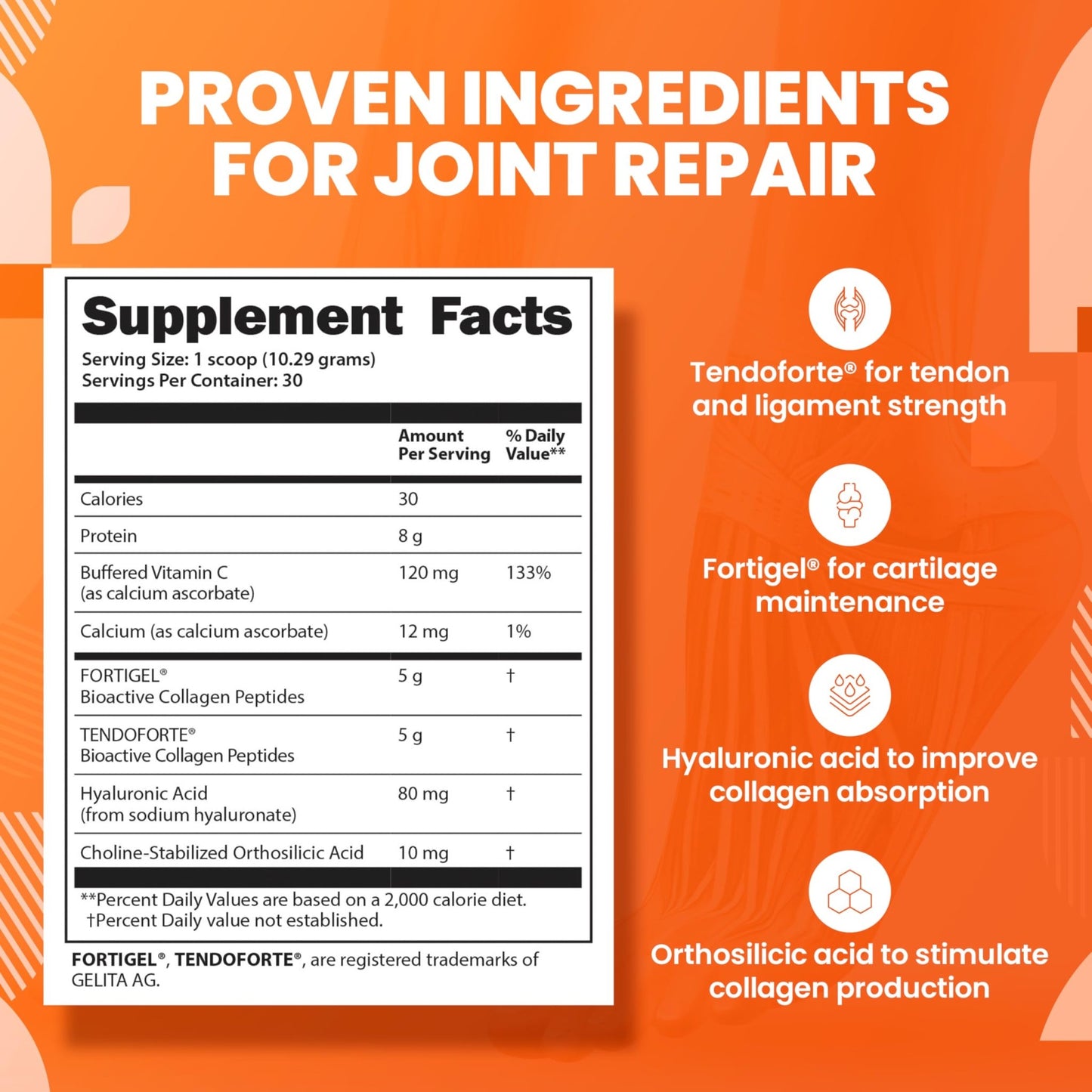 SaltWrap Collagen Synthesis - Collagen Peptides for Joints with Fortigel, Tendoforte, Best Collagen Powder for Tendons, Ligaments, and Cartilage Recovery and Repair, NSF Certified for Sport - dailyvitalstore