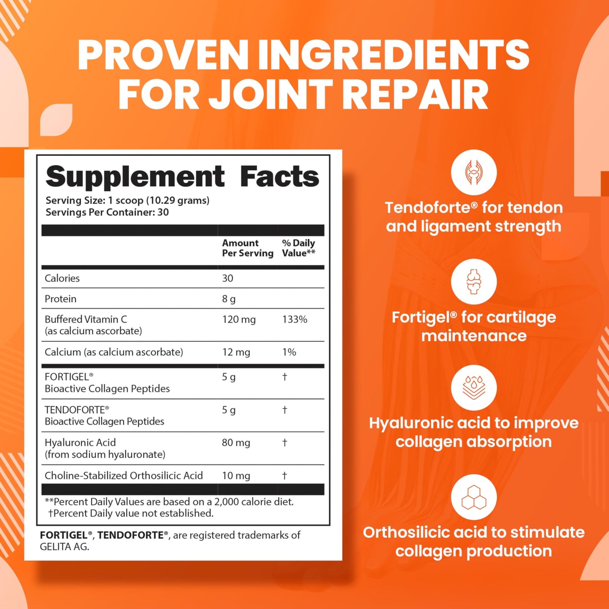 SaltWrap Collagen Synthesis - Collagen Peptides for Joints with Fortigel, Tendoforte, Best Collagen Powder for Tendons, Ligaments, and Cartilage Recovery and Repair, NSF Certified for Sport - dailyvitalstore
