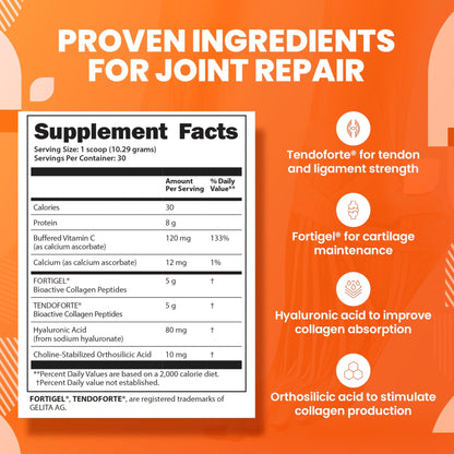 SaltWrap Collagen Synthesis - Collagen Peptides for Joints with Fortigel, Tendoforte, Best Collagen Powder for Tendons, Ligaments, and Cartilage Recovery and Repair, NSF Certified for Sport - dailyvitalstore