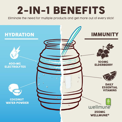 Salud 2-in-1 Hydration Packets + Immunity Electrolytes Powder, Horchata - Agua Fresca Drink Mix, Elderberry, Dairy & Soy Free, Non-GMO, Gluten Free, Vegan - dailyvitalstore