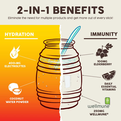 Salud 2-in-1 Hydration Packets + Immunity Electrolytes Powder, Mango - Agua Fresca Drink Mix, Elderberry, Dairy & Soy Free, Non-GMO, Gluten Free, - dailyvitalstore