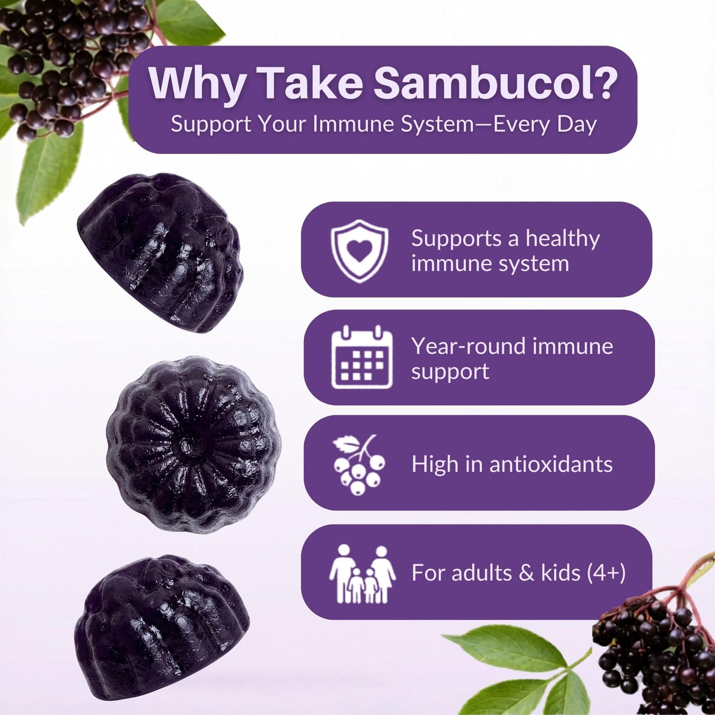 Sambucol Elderberry Gummies - Immune Support Supplement for Adults & Kids with Vitamin C & Zinc, Sambucol Elderberry - dailyvitalstore