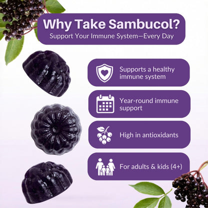 Sambucol Elderberry Gummies - Immune Support Supplement for Adults & Kids with Vitamin C & Zinc, Sambucol Elderberry - dailyvitalstore