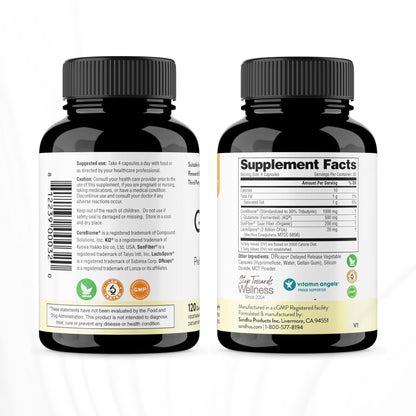 Sandhu's Gut Health - Prebiotic, Probiotic, Postbiotic & L-Glutamine | Digestive Health, Colon, Probiotic Total Supplements | 120 Delayed Release Capsules - dailyvitalstore