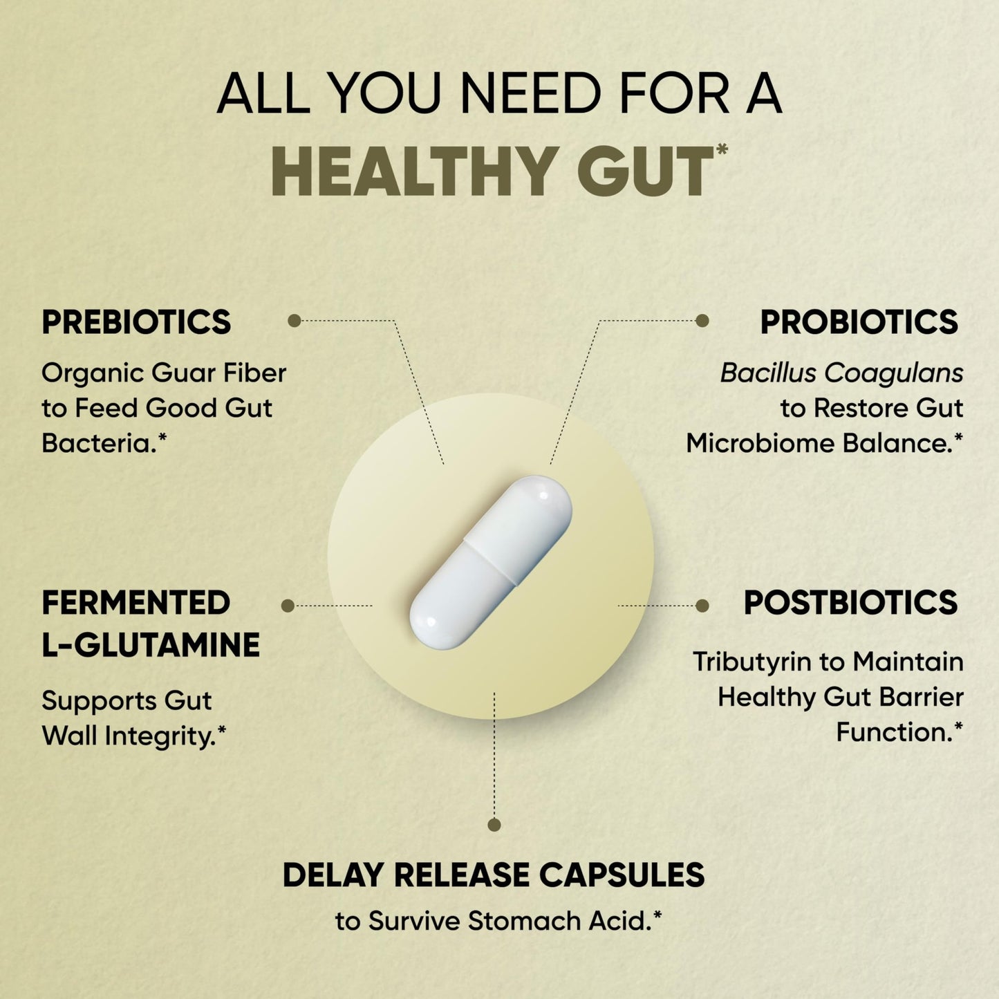 Sandhu's Gut Health - Prebiotic, Probiotic, Postbiotic & L-Glutamine | Digestive Health, Colon, Probiotic Total Supplements | 120 Delayed Release Capsules - dailyvitalstore