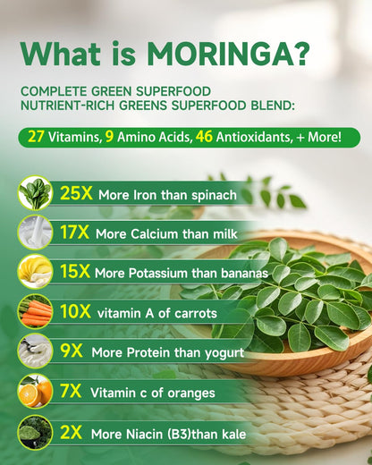SANSICE Organic Moringa Supplement, Liquid Moringa Leaf Extract for Women & Men, Lymphatic Drainage Supplement with Echinacea for Lymph System Support - dailyvitalstore