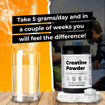 Santa Cruz Paleo, Creatine Monohydrate Powder Micronized, Unflavored Pre Workout and Muscle Support Supplement, Gluten Free Keto, Mix with Water or Shakes - dailyvitalstore