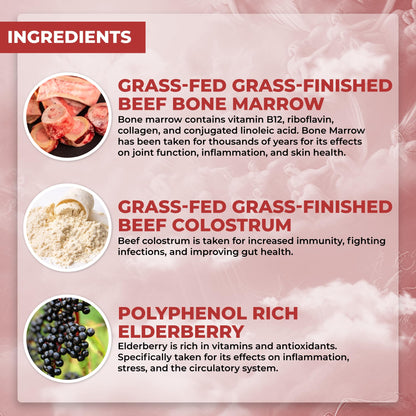 Santa Cruz Paleo, Food of the Gods Grass Fed Beef Organ Supplement for Men and Women, with Collagen, Maca Root, Colostrum, Bone Broth, Iron, Vitamin B12, Gluten Free, Keto Friendly, 30 Servings - dailyvitalstore