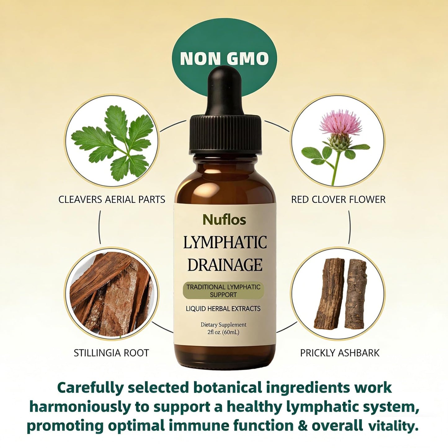 SAPURAIS Nuflos Lymphatic Drainage Drops, Supports Fluid Balance & Immune Health, 2 fl.oz - dailyvitalstore