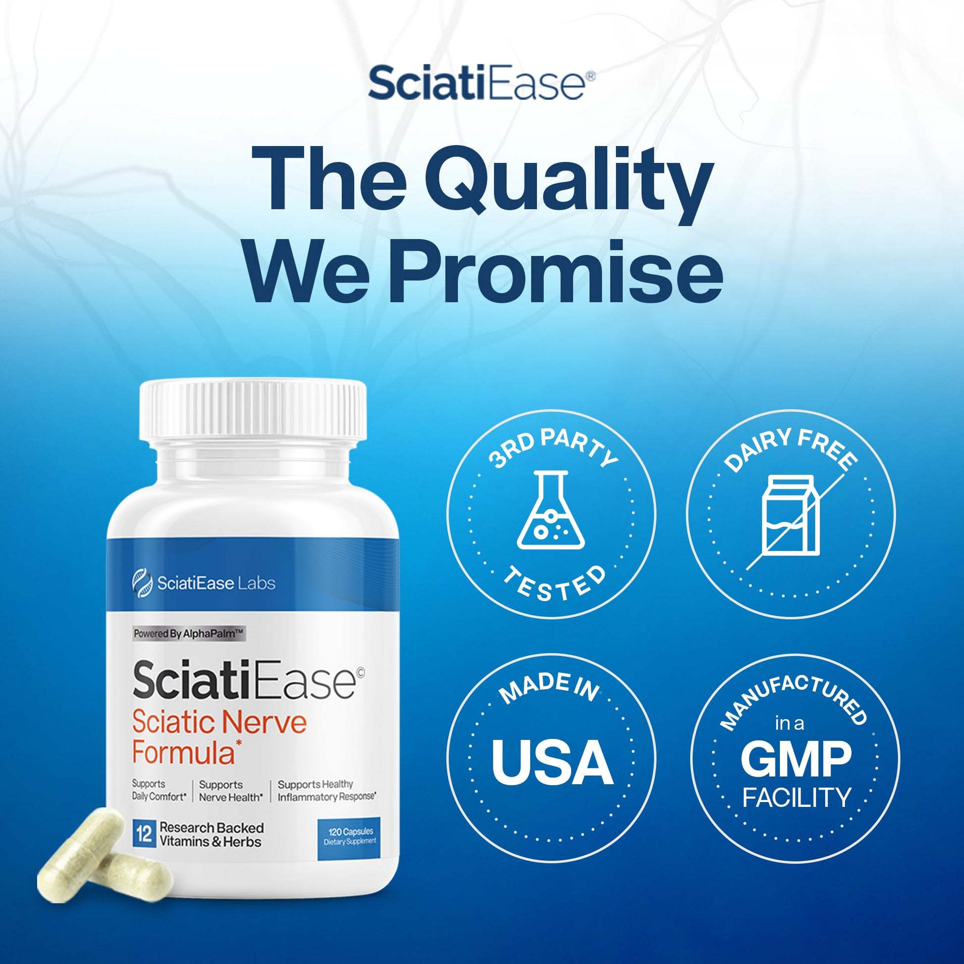 SciatiEase Sciatic Nerve Health Support Supplement - Nerve Support Formula with AlphaPalm, Pea, Vitamin B Complex, Alpha Lipoic Acid 300mg - 3 Bottles - dailyvitalstore