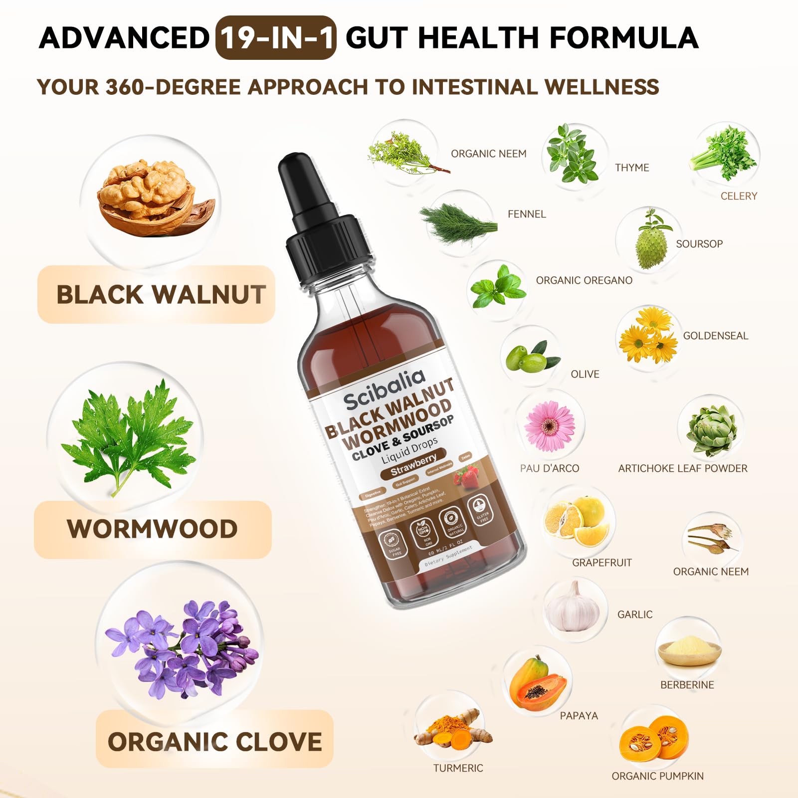 Scibalia Wormwood Black Walnut Clove Cleanse for Human Drops, 19-in-1 Triple-Action Gut Detox & Digestive Wellness Organic Wormwood Tincture w. Soursop - dailyvitalstore