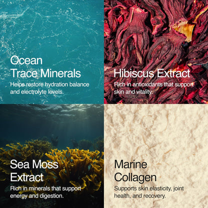 Sea Bloom Labs Marine Collagen Powder Stick Packs with Sea Moss Powder and Electrolytes, Hydration and Beauty Blend - Mango (8-Pack) - dailyvitalstore