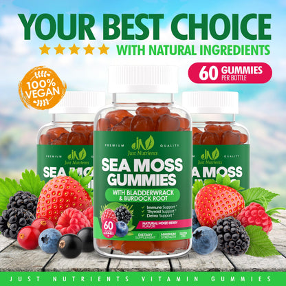 Sea Moss 3000mg Gummies with Bladderwrack and Burdock Root - Natural Irish Sea Moss Superfood for Immune, Thyroid and Detox Support - Extra Strength - dailyvitalstore