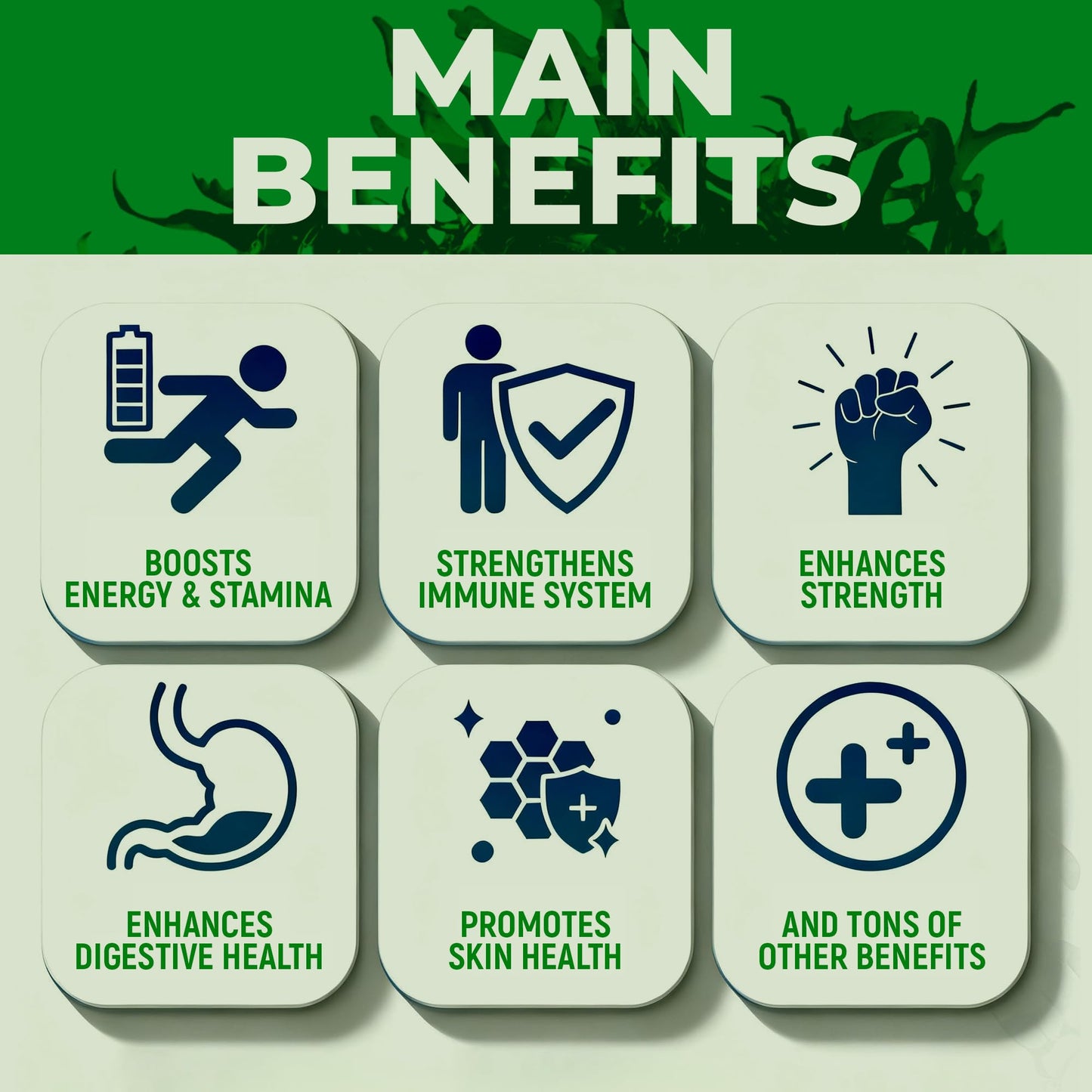 Sea Moss Black Seed Oil Ashwagandha Ginger - Advanced Irish Sea Moss Capsules All in One Supplement with Seamoss Black Seed Oil Ashwagandha Burdock Root Bladderwrack - Pills for Energy, Immune, Gut - dailyvitalstore