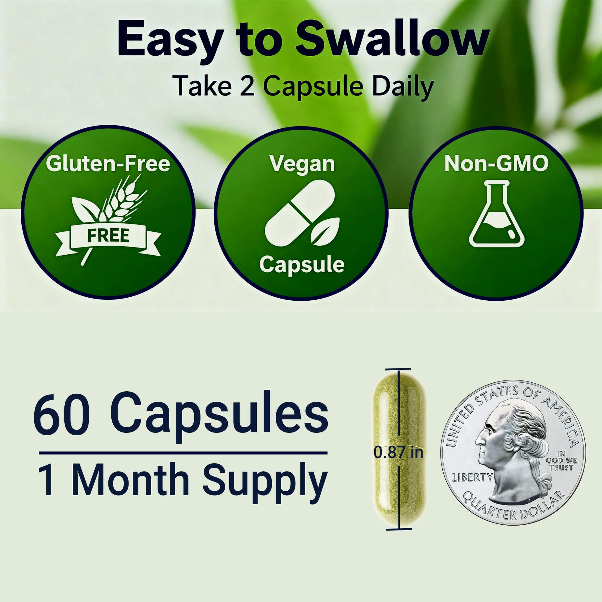 Sea Moss Black Seed Oil Ashwagandha Ginger - Advanced Irish Sea Moss Capsules All in One Supplement with Seamoss Black Seed Oil Ashwagandha Burdock Root Bladderwrack - Pills for Energy, Immune, Gut - dailyvitalstore