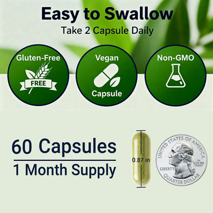 Sea Moss Black Seed Oil Ashwagandha Ginger - Advanced Irish Sea Moss Capsules All in One Supplement with Seamoss Black Seed Oil Ashwagandha Burdock Root Bladderwrack - Pills for Energy, Immune, Gut - dailyvitalstore