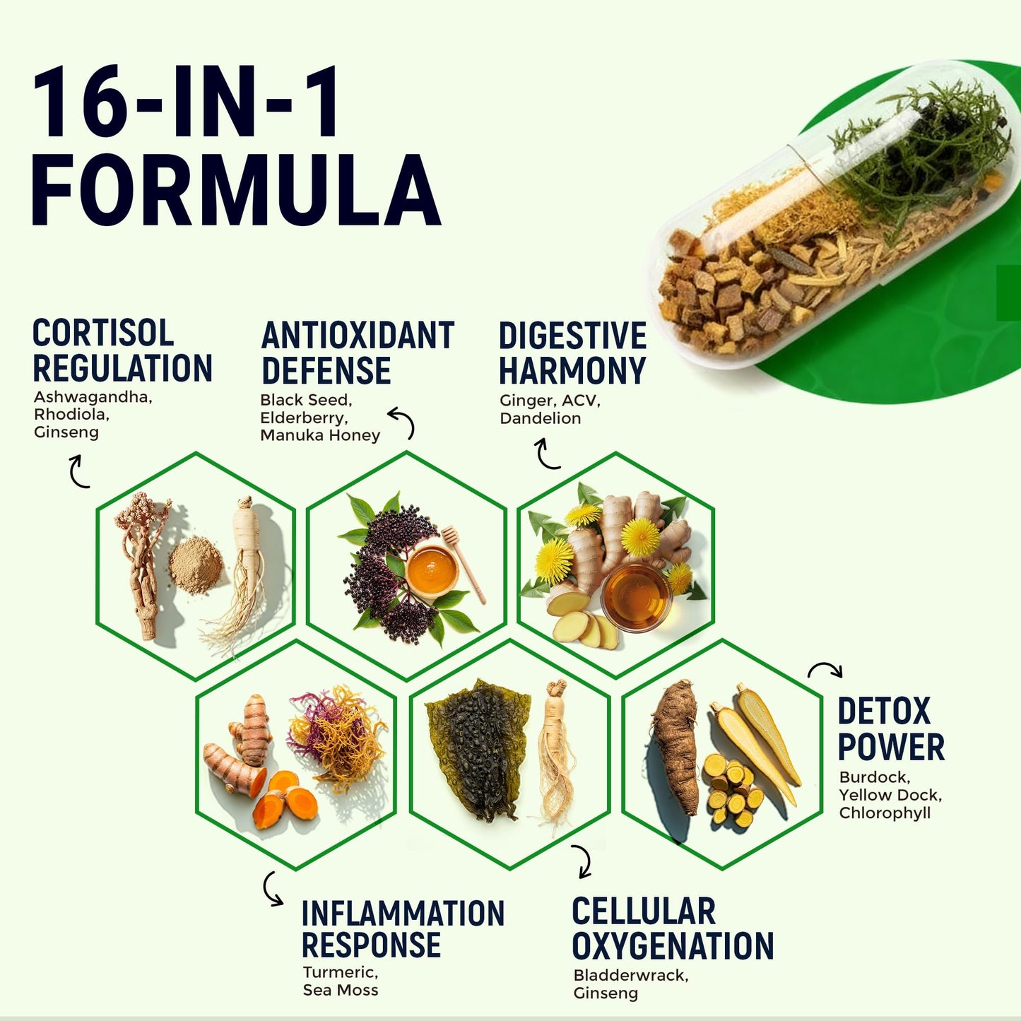 Sea Moss Black Seed Oil Ashwagandha Ginger - Advanced Irish Sea Moss Capsules All in One Supplement with Seamoss Black Seed Oil Ashwagandha Burdock Root Bladderwrack - Pills for Energy, Immune, Gut - dailyvitalstore